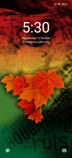 miui theme store