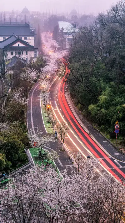 Jinling Flower Blossoming Season 2