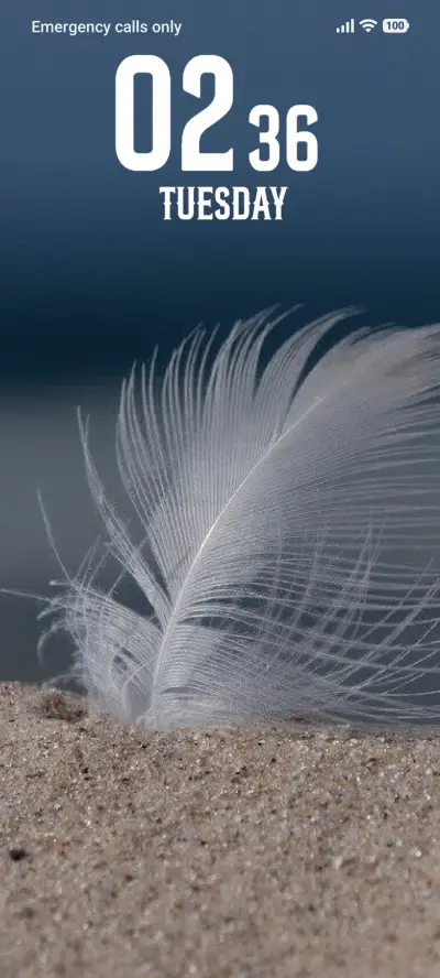 Feather
