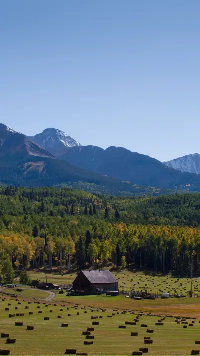 Grasslands and pastures - Screenshot 1