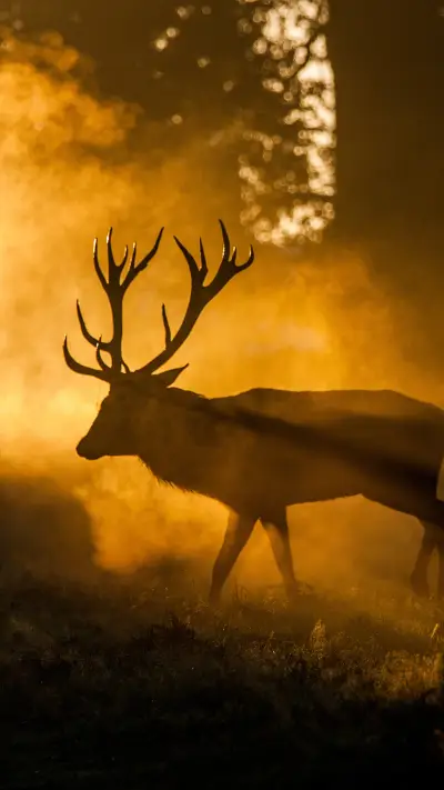 Elves Running in the Mountains 4 - Screenshot 1