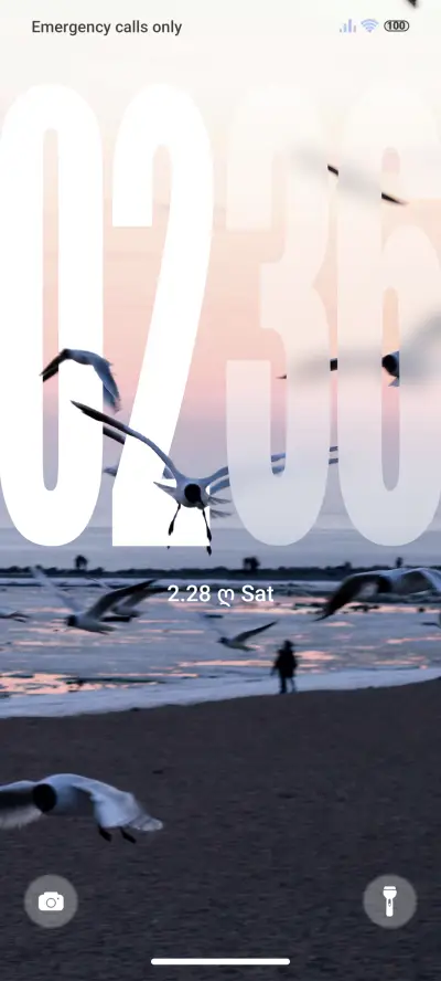 Seagull THEME for Xiaomi MIUI HyperOS