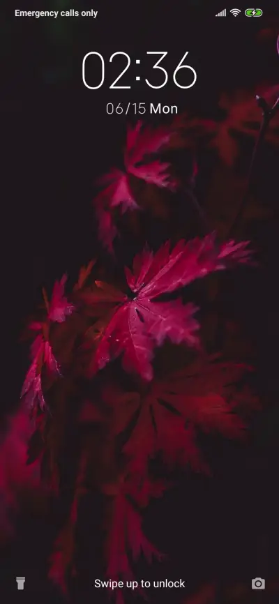 Canadian Leaf_3MDS - Screenshot 1