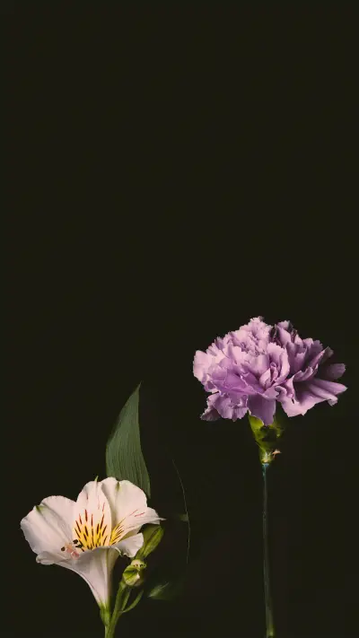 Flower World - Screenshot 1