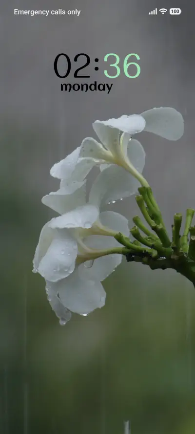 Pure Bloom - Screenshot 1