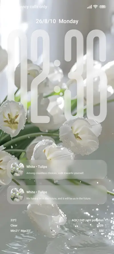 Glass Pro - Screenshot 2