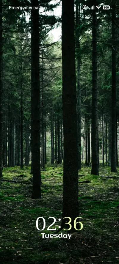 Daylight Grove - Screenshot 1