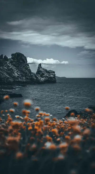 Beauty of Earth 1 (16)