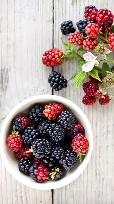 delicious food 47 - Screenshot 1