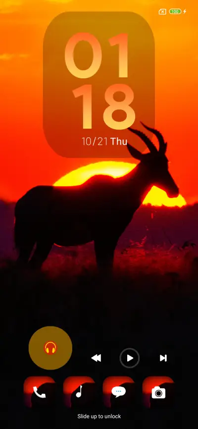 Wild life on