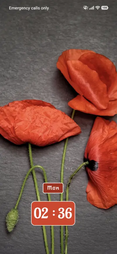 Petals