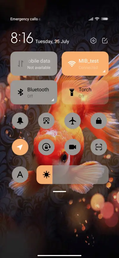 Golden scale - Screenshot 5