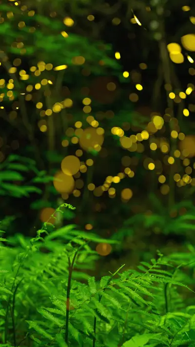 Why dont fireflies burn 09