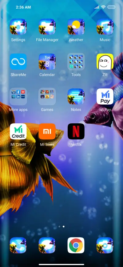 Betta Fish - Screenshot 3