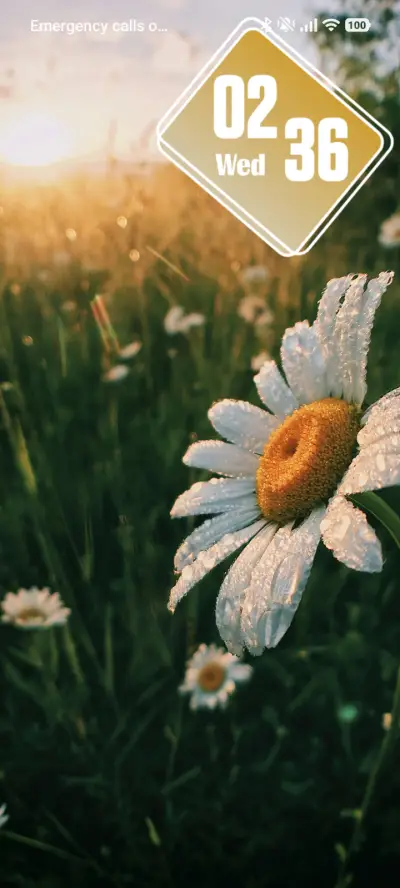 Daisy - Screenshot 1