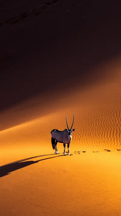 American Death Valley boulder will move 4