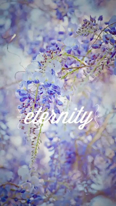 紫色花藤 (12) - Screenshot 1