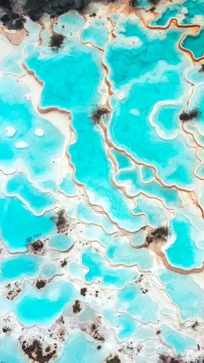 Human yaochi huanglong 2