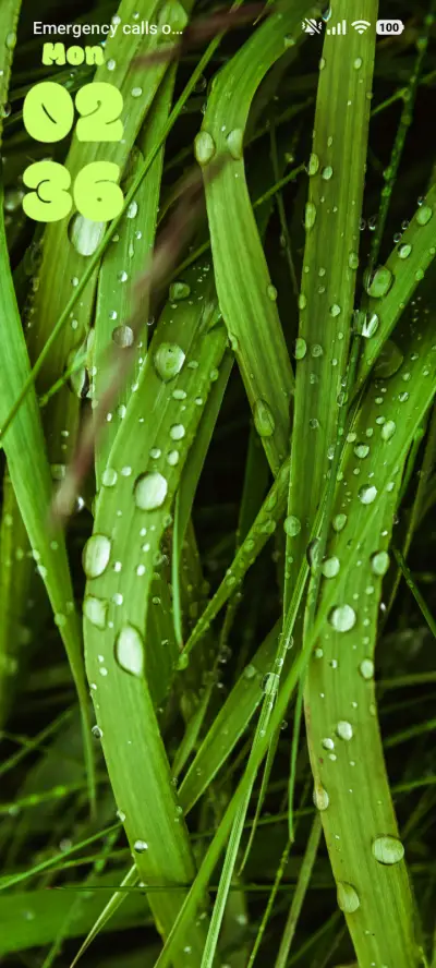 Green Grass - Screenshot 1