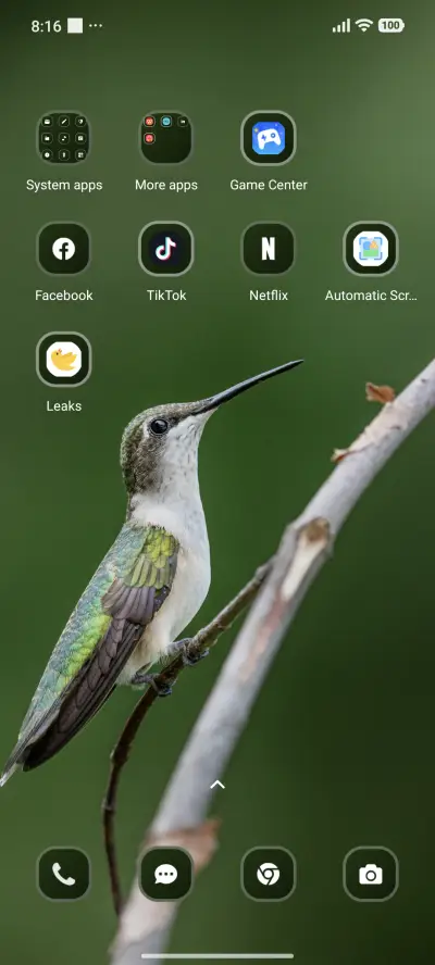 Bird - Screenshot 3