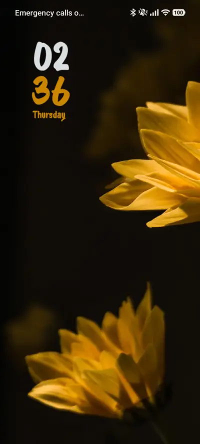 Flower
