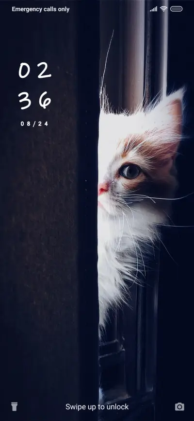 Cute Cat_3MDS - Screenshot 1