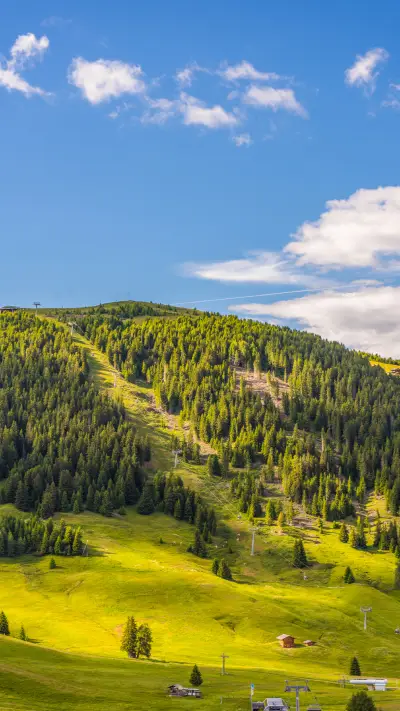 Green eye wallpaper-08