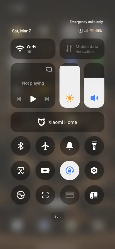 Bronze Elephant - Screenshot 5