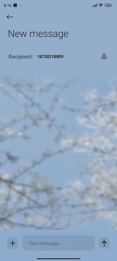 Spring flowers  - Screenshot 8