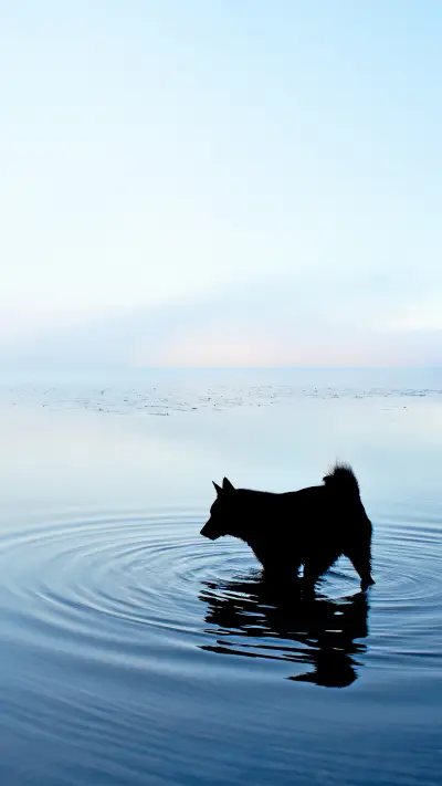 Minimalist aesthetic