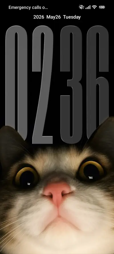 cat THEME for Xiaomi MIUI HyperOS