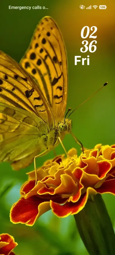 Soft Bloom THEME for Xiaomi MIUI HyperOS