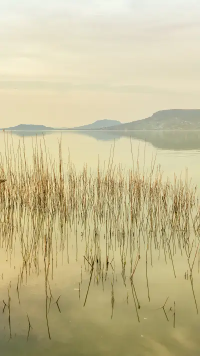 Reed shore - Screenshot 1