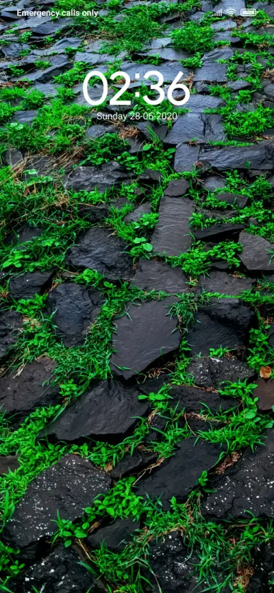 Grassyrock_DWM2