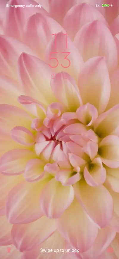 Pink Dahlia_3MDS - Screenshot 1
