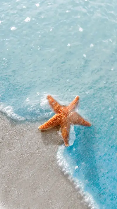 Do starfish have eyes