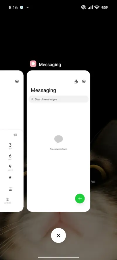 cat - Screenshot 4