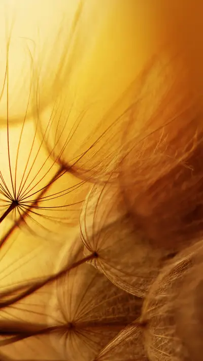 How to play macro photography 30