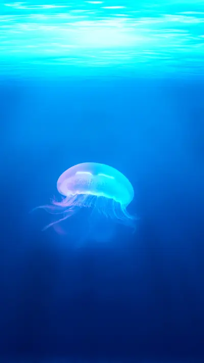 海洋 - Screenshot 1