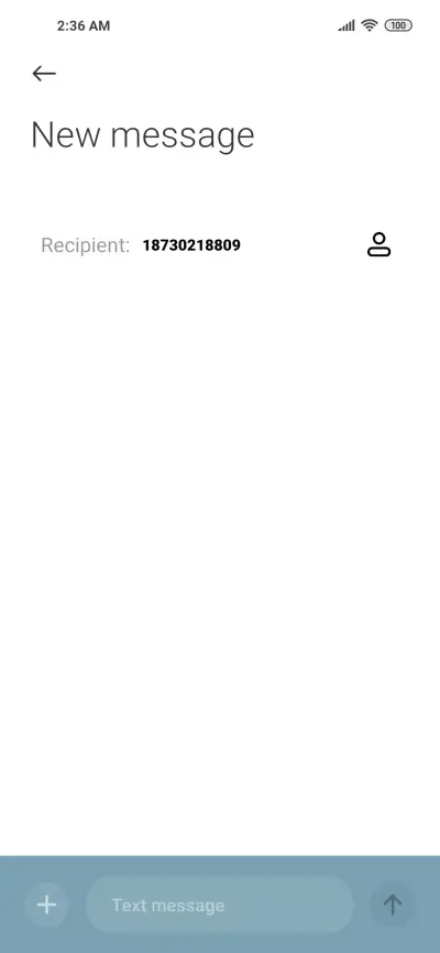 Hot spring cat - Screenshot 9