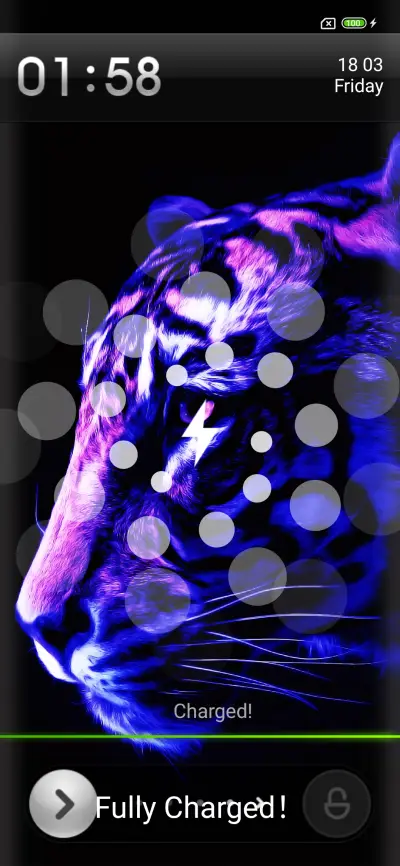 Tiger Duo - Screenshot 1