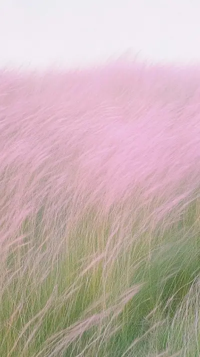 Letter from the Wind - Screenshot 1