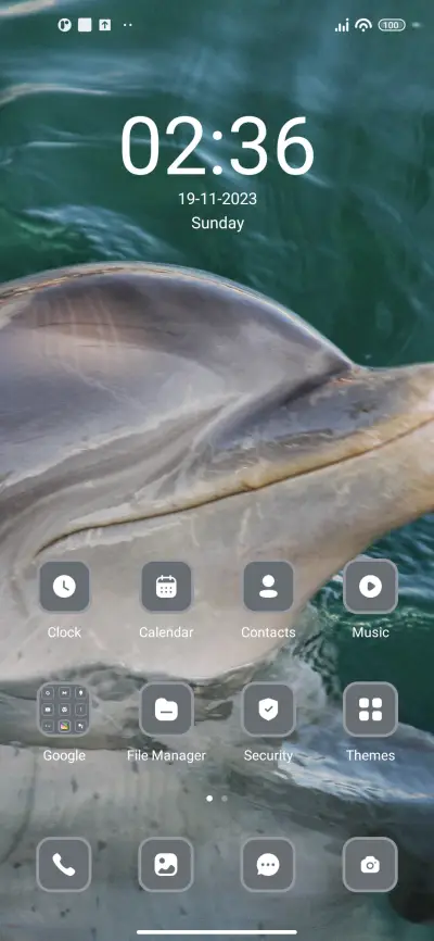 Dolphin - Screenshot 2