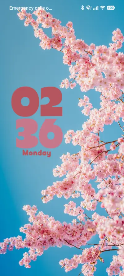 Sakura Flowers - Screenshot 1