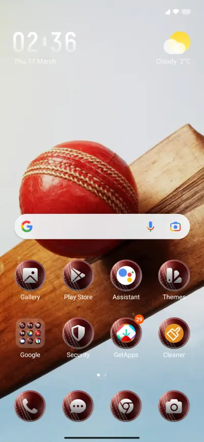 Bat Cricket - Screenshot 2