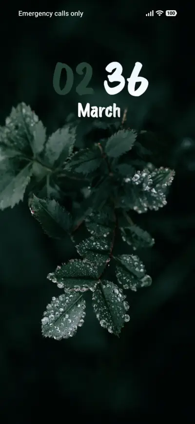 After the Rain