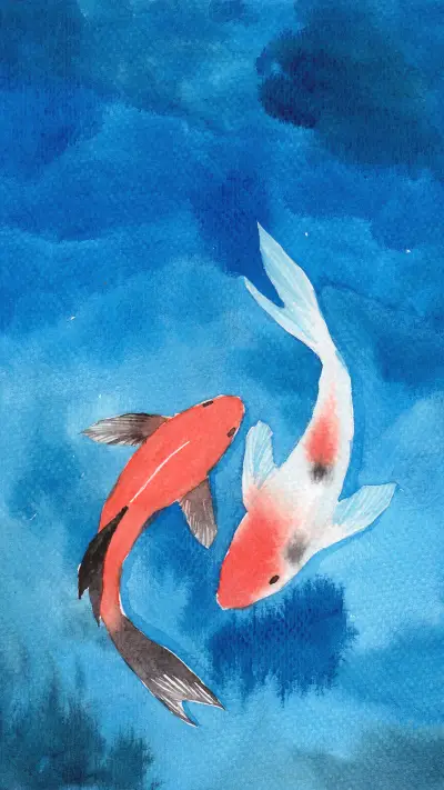 Lucky Koi Fish Illustration