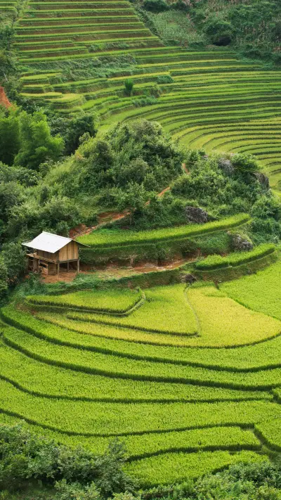 Green eye protection-04