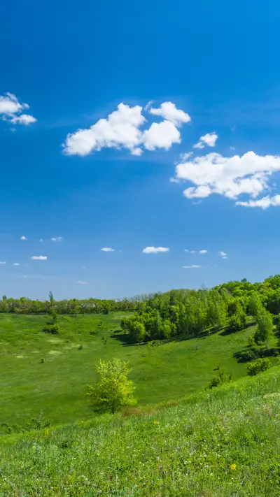 Green grass - Screenshot 1