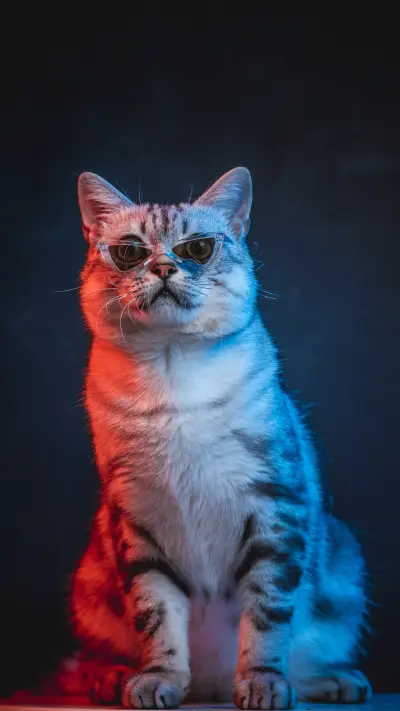 Consequences of Cat Stress Response 4